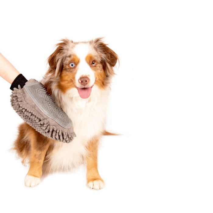 Dog Grooming