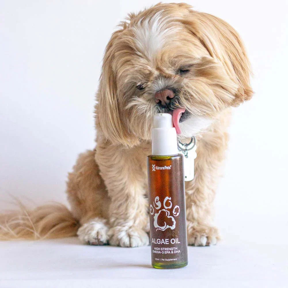 Dog Supplements