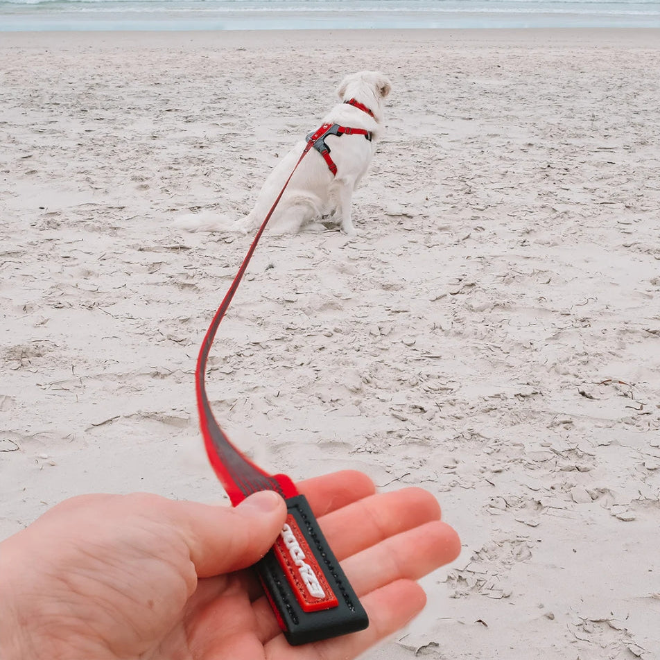 Dog Leads
