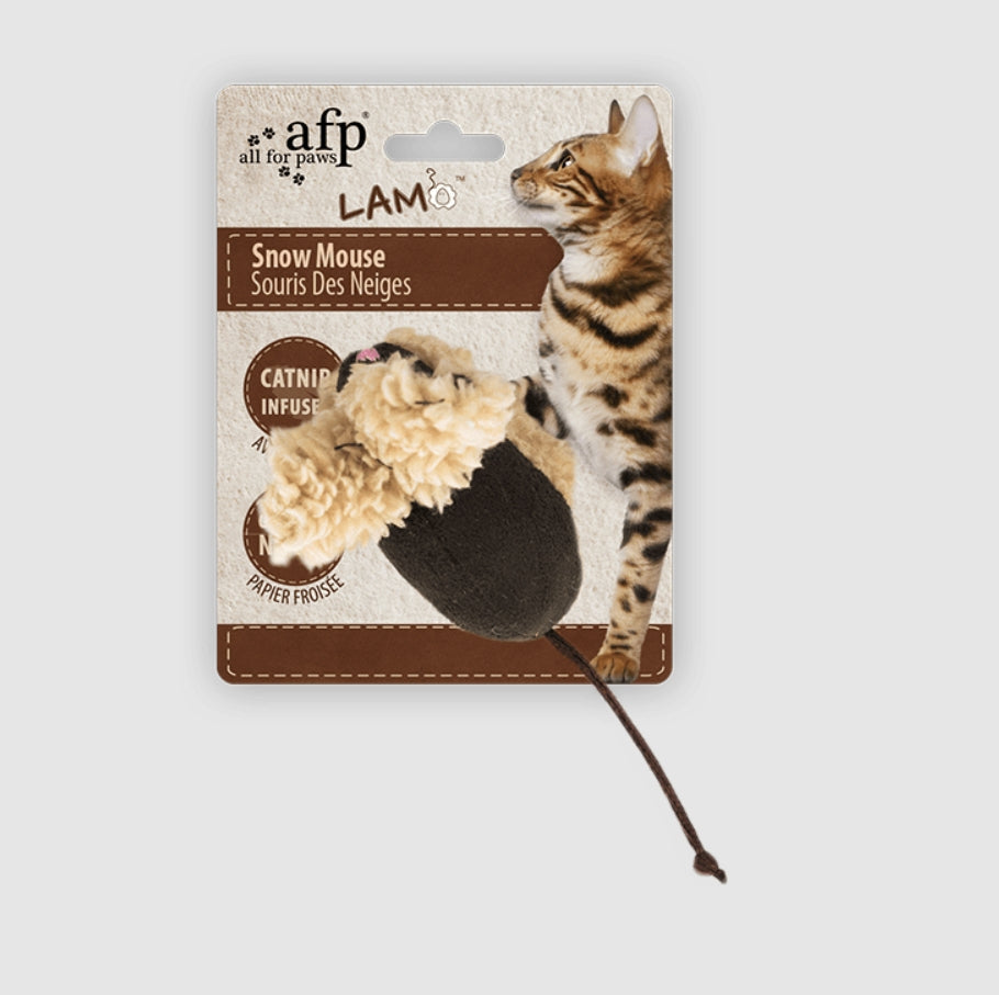 Cat Enrichment & Environment