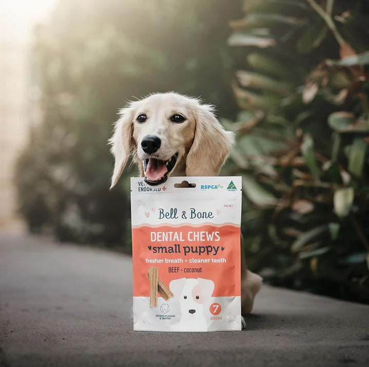 Puppy Foundations