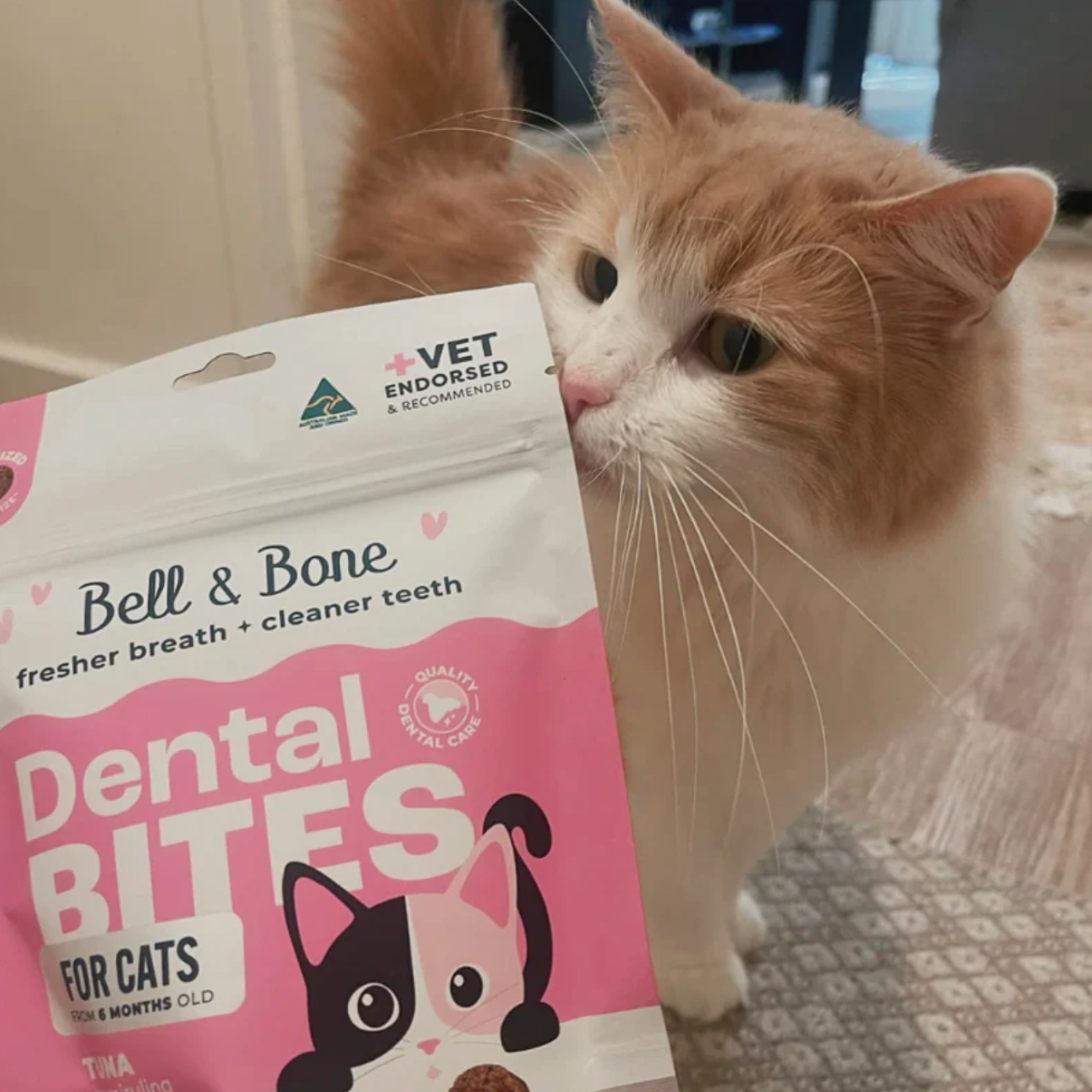 Cat Adult Wellness