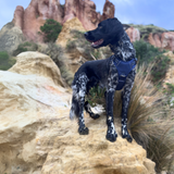 DOOG Neotech Dog Harness