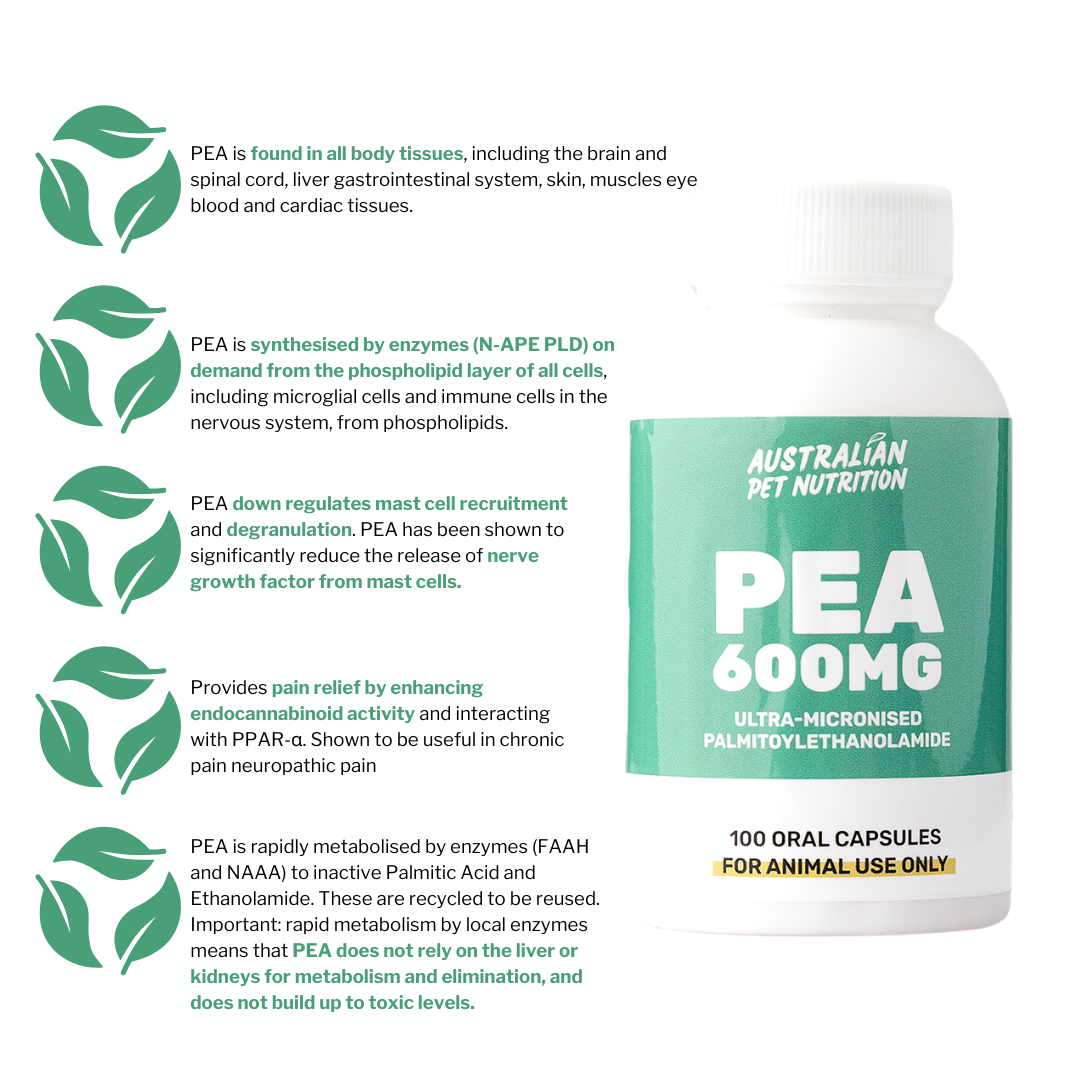 PEA (100 caps)
