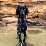 DOOG Neotech Dog Harness