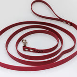4m Biothane Lead