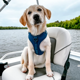 DOOG Neosport Dog Harness