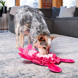 Outward Hound Snuffle Palz