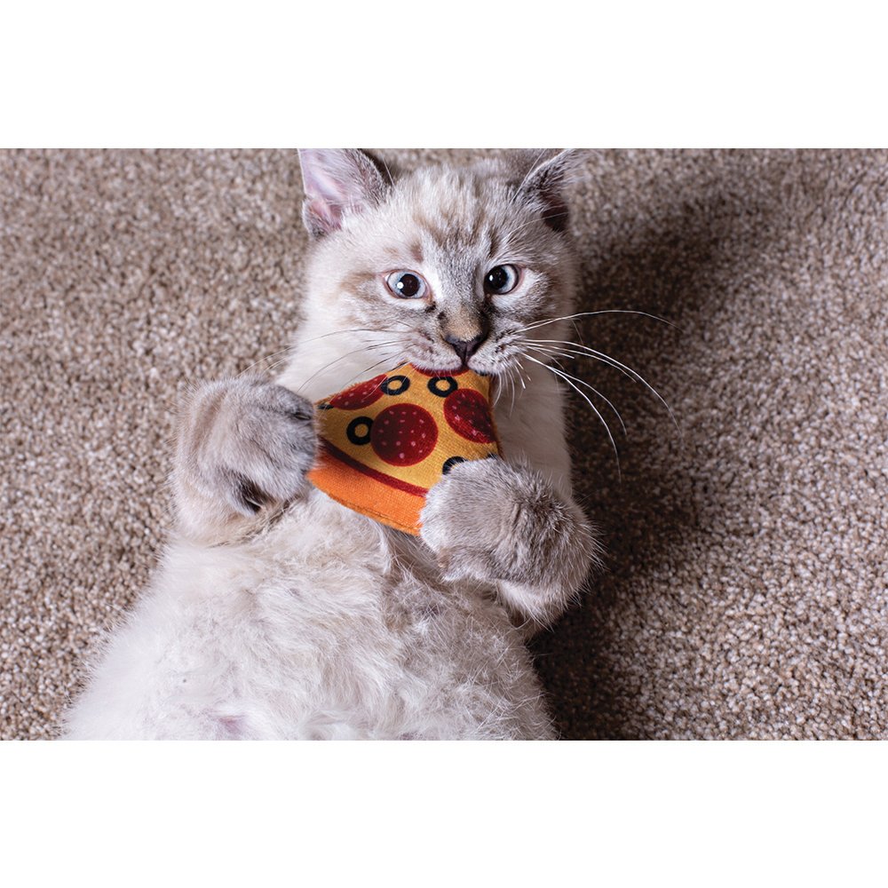 Multipet Pizza Cat Toy