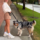 DOOG Neotech Dog Harness