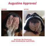 Faith's Cleanse & Detox
