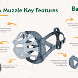 Buskerville Invisa Muzzle