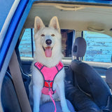 DOOG Neotech Dog Harness