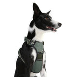 DOOG Neotech Dog Harness