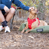 DOOG Neotech Dog Harness