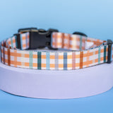 Vintage Gingham Value Range Dog Collar *