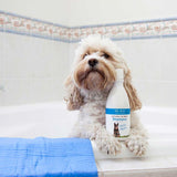 Dr Zoo Natural Sensitive Shampoo