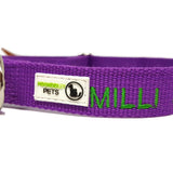 Bamboo Dog ID Collar Personalised Embroidery
