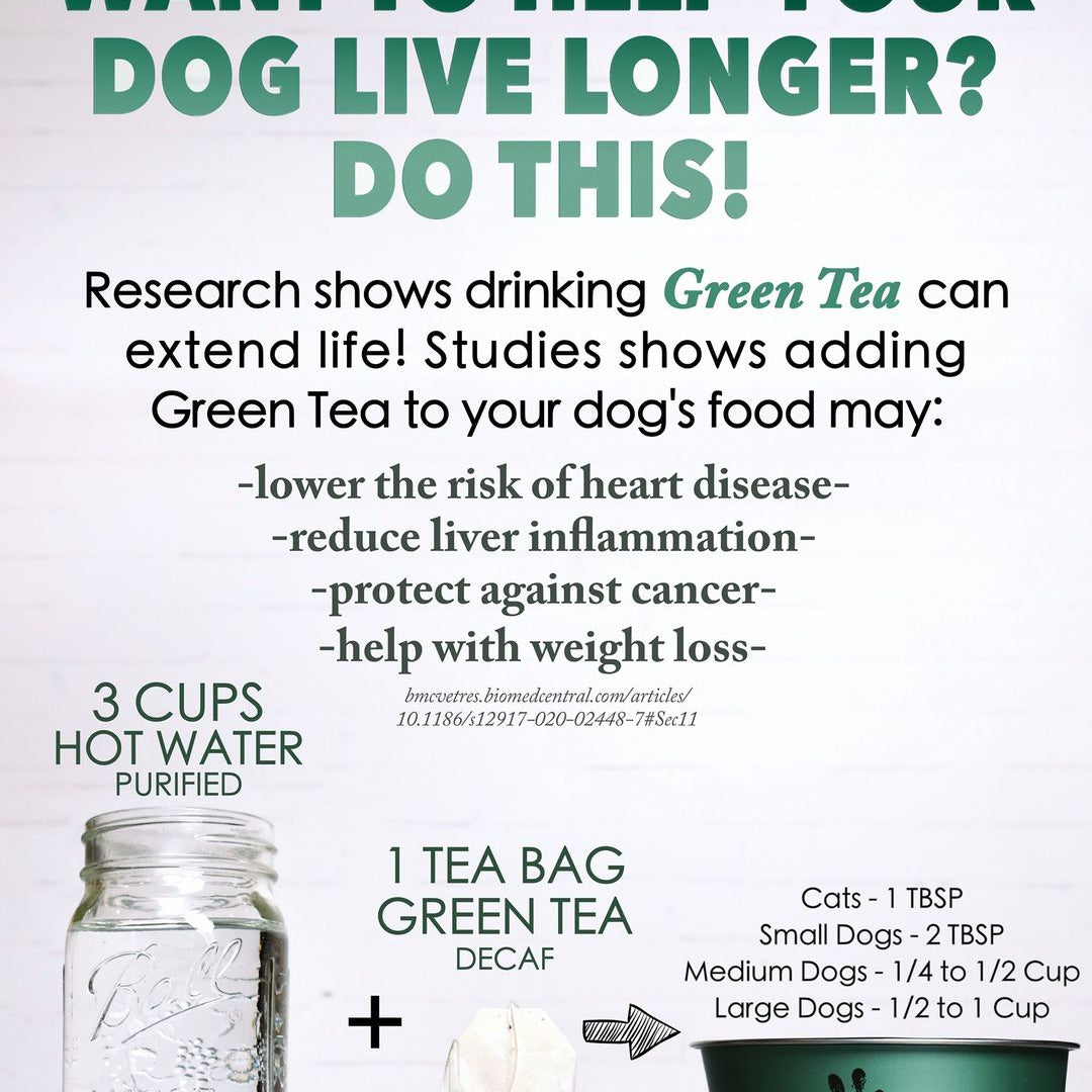 Decaffeinated Green Tea 25 Bags