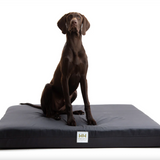 Henry Hottie Bed (Cover Only) XL-HD Charcoal