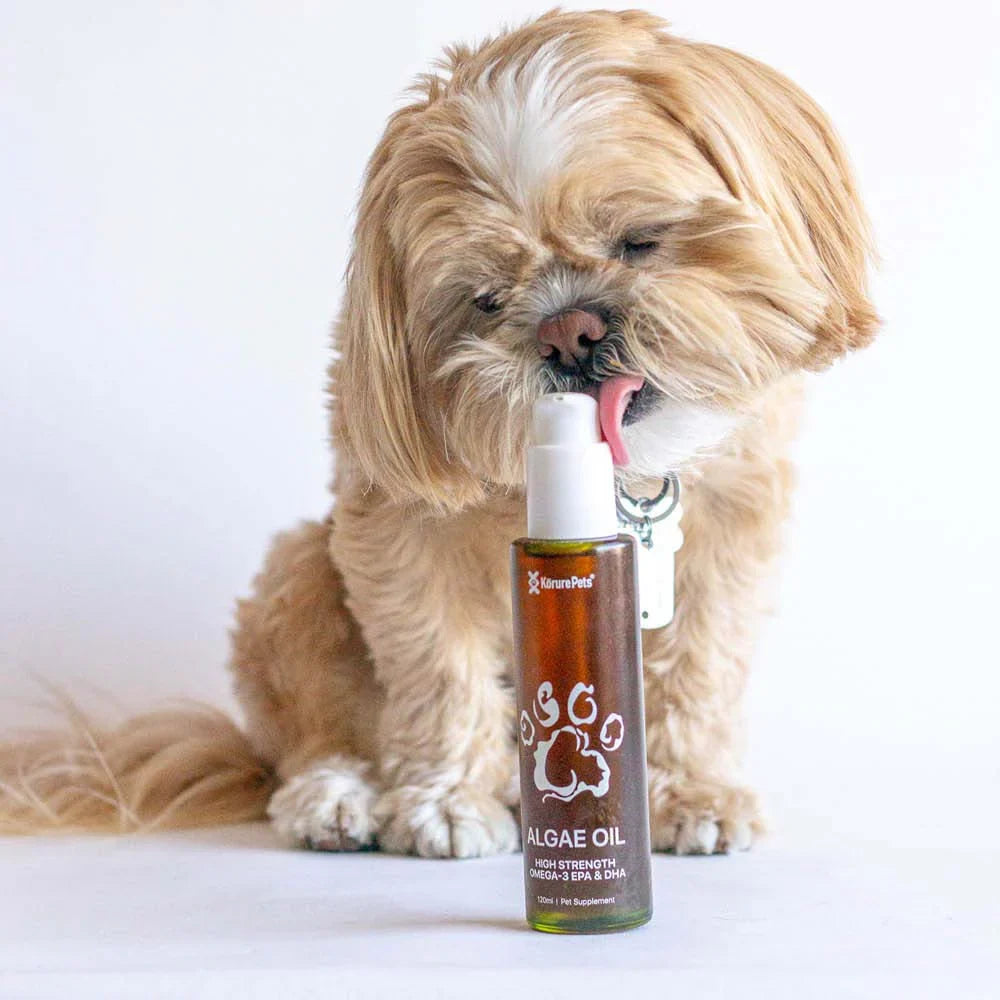 Korure Pets Algae Oil Dog 50ml*