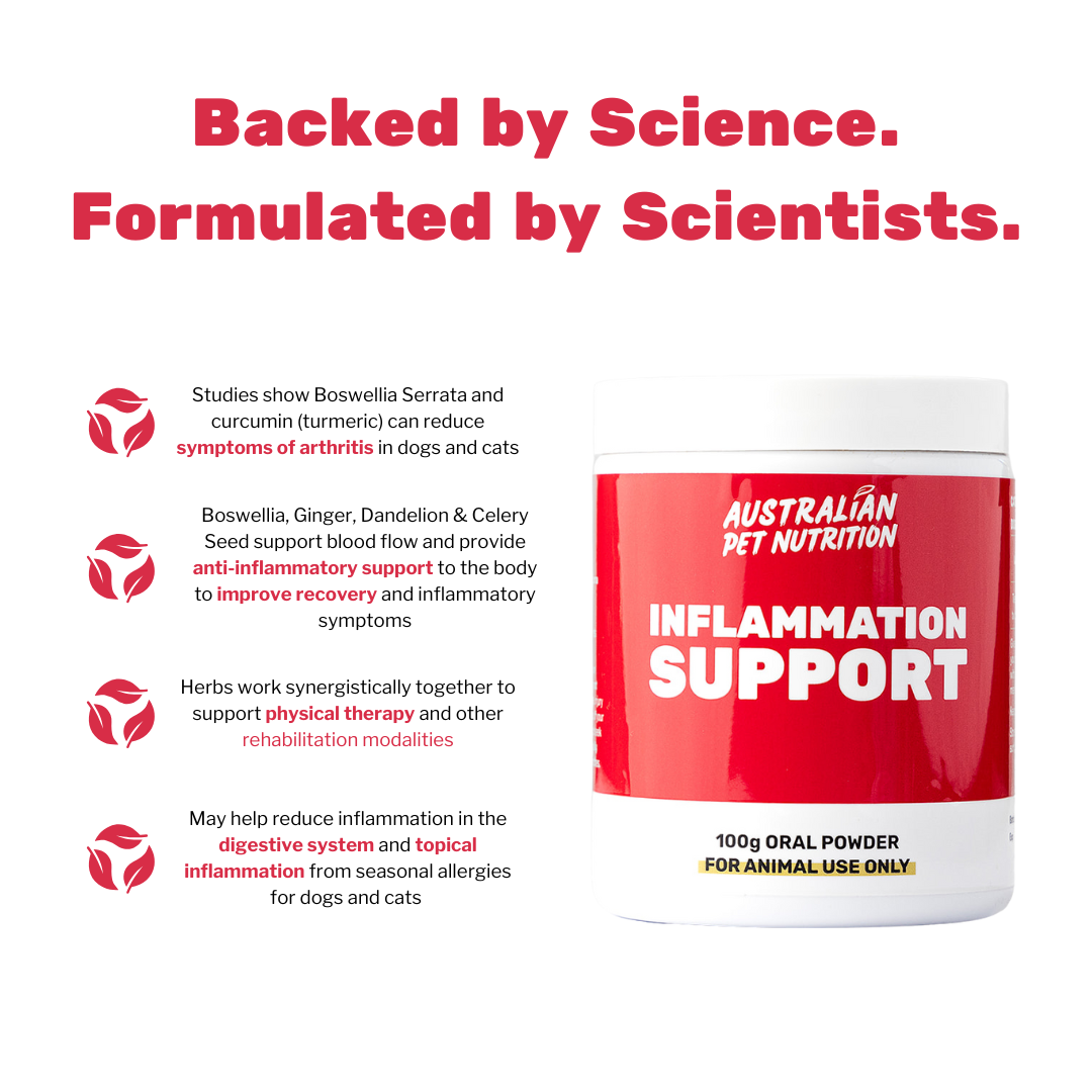 Inflammation Support 100g