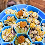 Pet Botanica Omega Gummies for Dogs & Cats Sardine 30pc