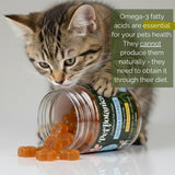 Pet Botanica Omega Gummies for Dogs & Cats Sardine 30pc