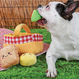Puzzle Hunter- Picnic Basket