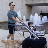 Attachd Hands-Free Walking Belt