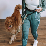 Attachd Hands-Free Walking Belt