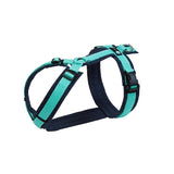 Anny.x Harness Fun