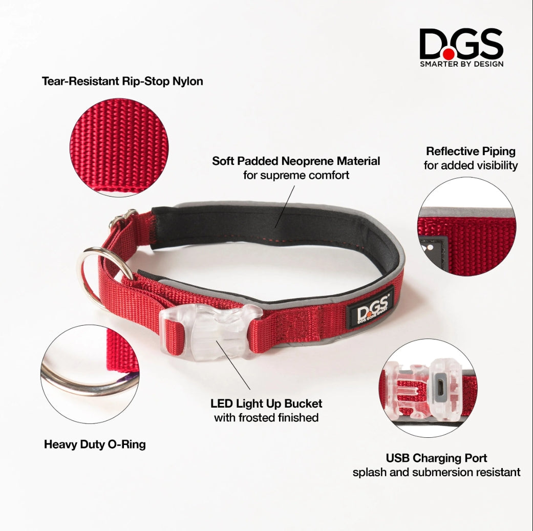 LED Safety Collar *