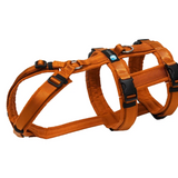 Anny.x Harness Safety (Escape Proof)