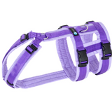 Anny.x Harness Safety (Escape Proof)