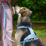 Anny.x Harness Fun Long/Short
