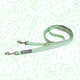 Anny.x Leash Classic Bolt Fun