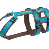 Anny.x Harness Safety (Escape Proof)