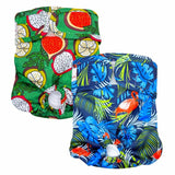 Washable Dog Nappies 2pk