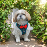 Dizzy Dog Harness