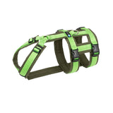 Anny.x Harness Safety (Escape Proof)