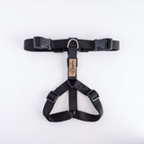 Naked Harness*