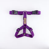 Naked Harness*