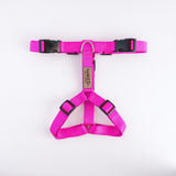 Naked Harness*