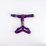 Naked Harness*