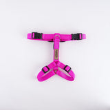 Naked Harness*