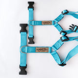 Naked Harness*