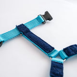 Naked Harness*