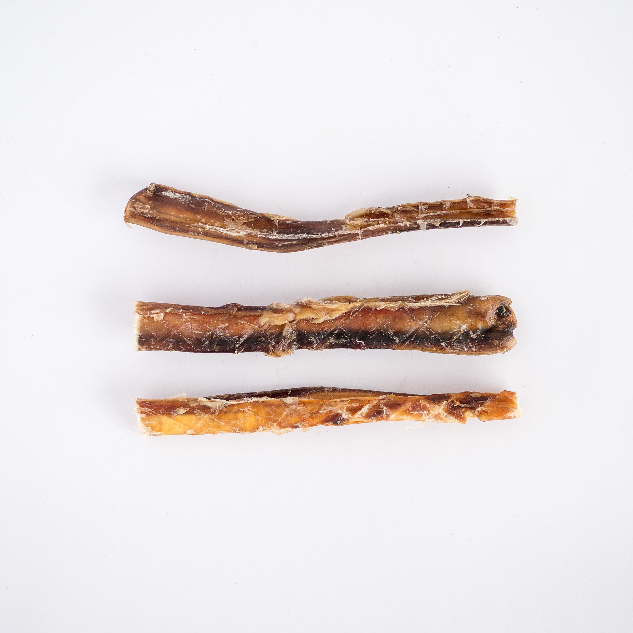 Beef Pizzles 15cm