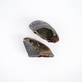Beef Hoof